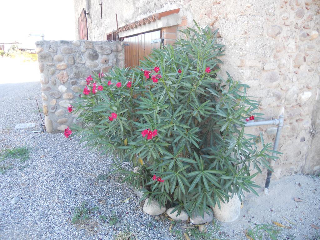 Agriturismo Le Mura Del Gherlo Villa Valeggio sul Mincio Exterior photo